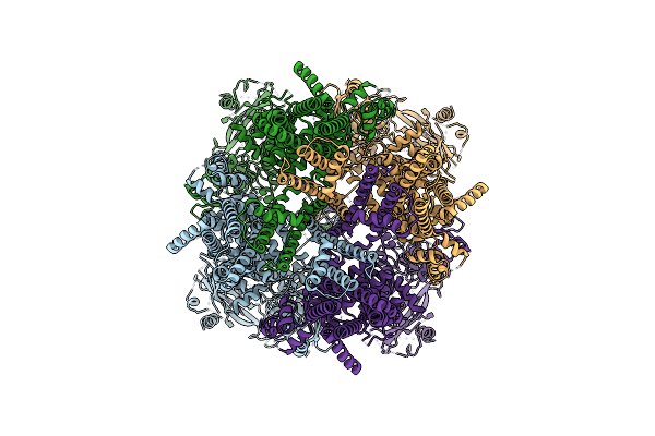6PKW image