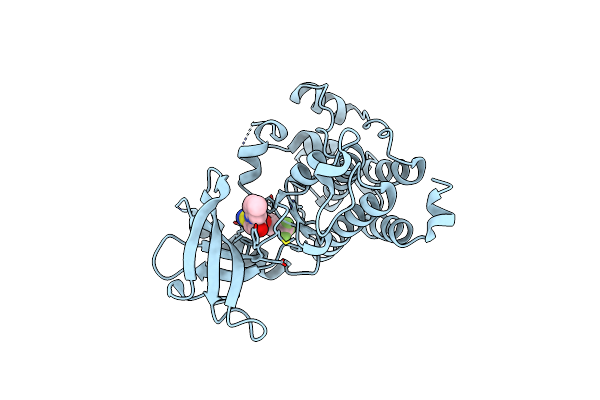 6PL1 image