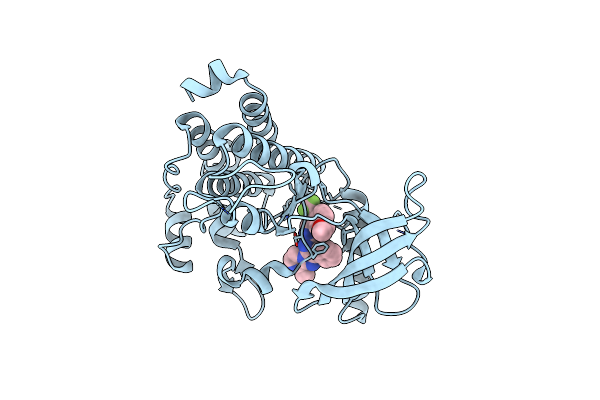 6PL4 image