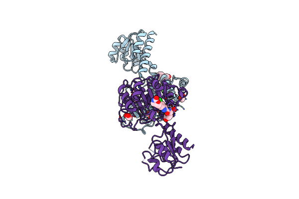 6PLF image