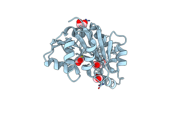 6PLJ image