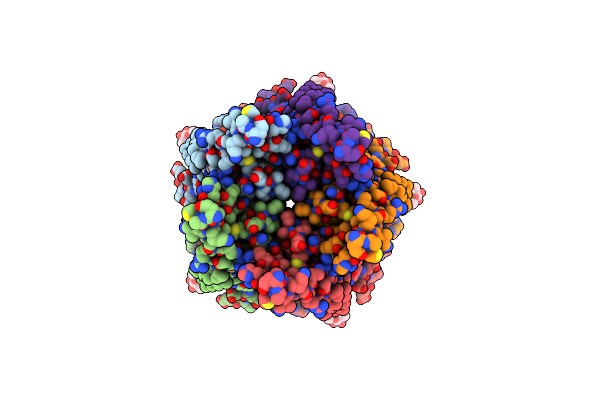 6PLT image
