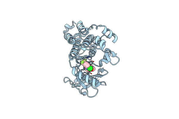 6PMA image