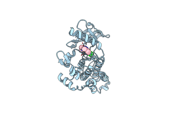 6PMC image