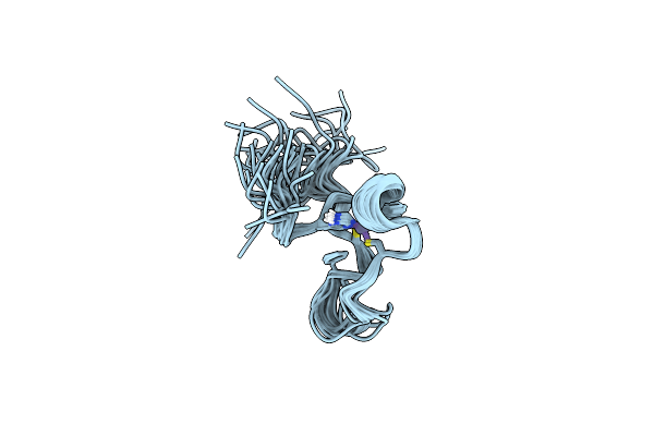 6PMG image