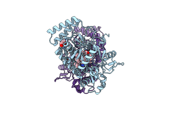 6PNA image