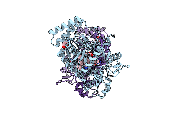 6PNE image