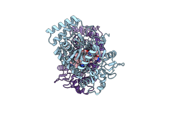 6PNH image