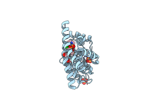 6PNN image