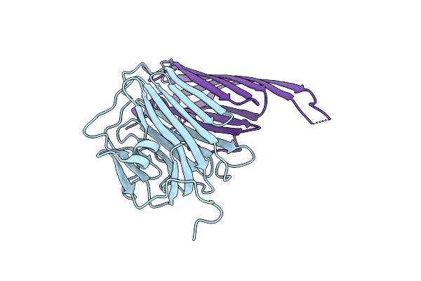 6PNP image