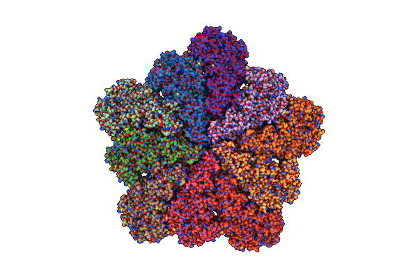 6PNS image