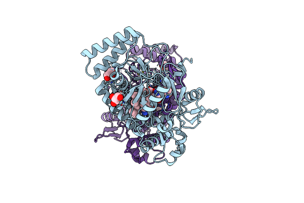 6PO9 image