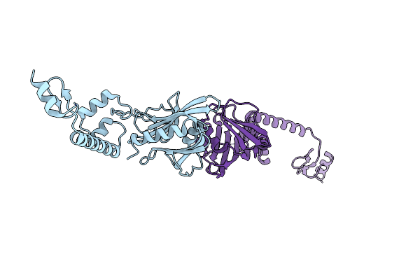 6PON image