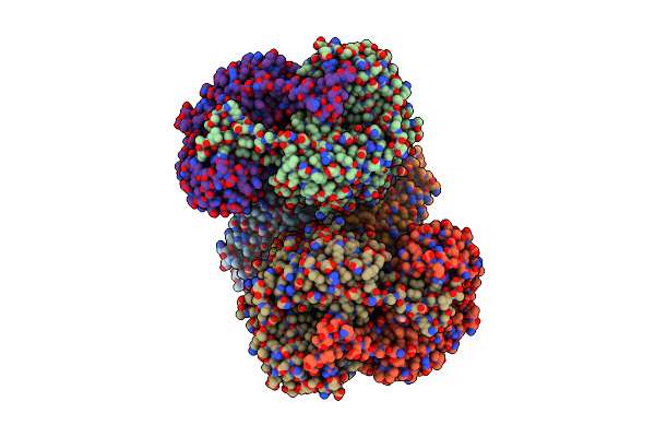 6POP image