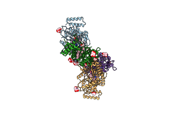 6POX image