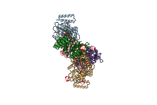 6PP4 image