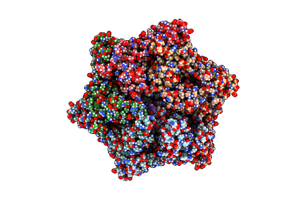 6PP5 image