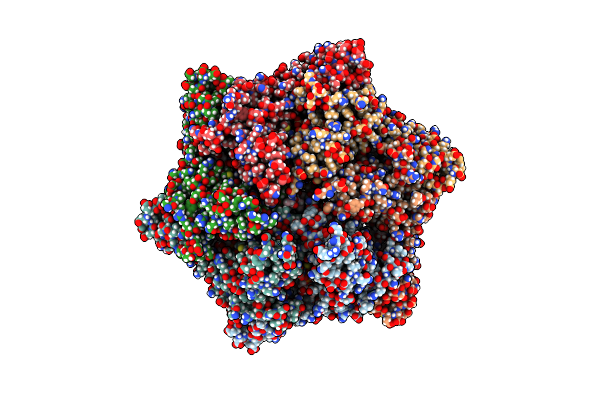 6PP6 image