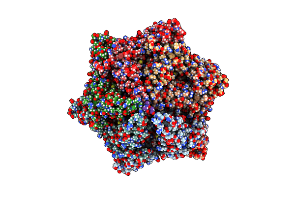 6PP7 image