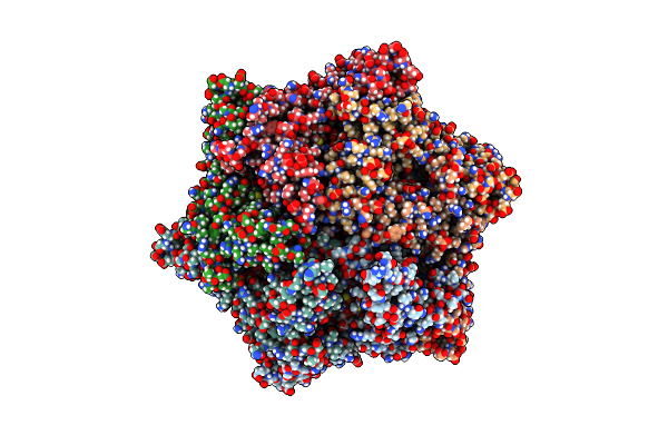 6PP8 image