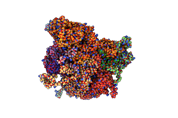 6PPD image