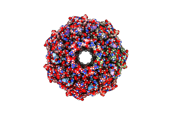 6PPE image