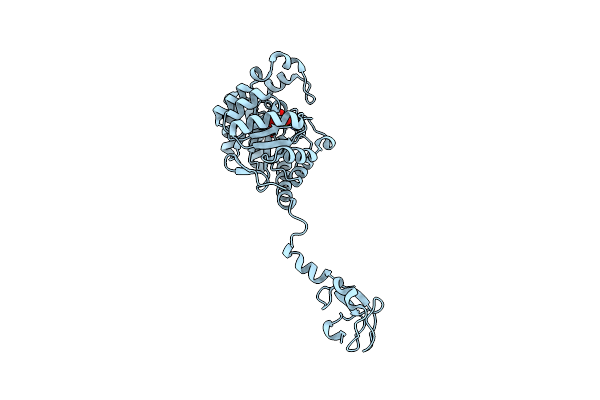 6PPW image