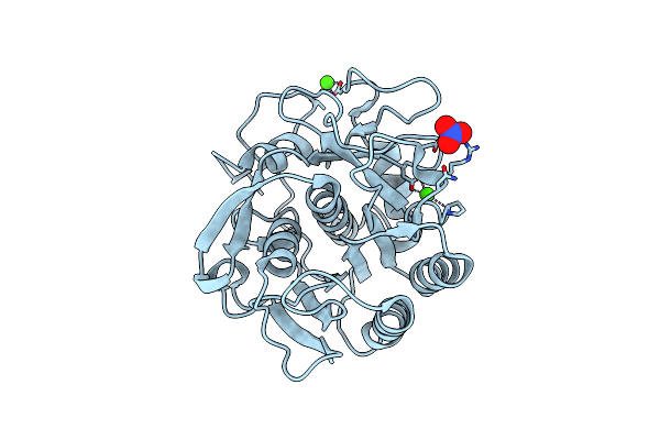 6PQ4 image