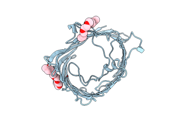 6PRN image