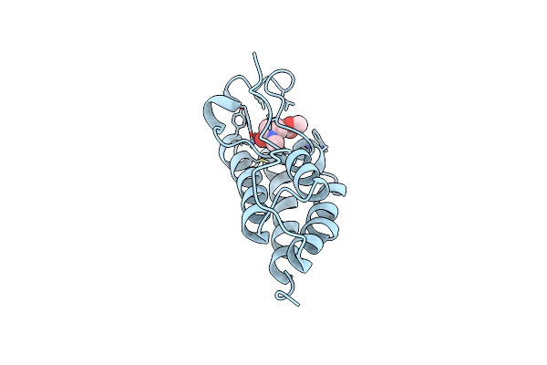 6PRT image