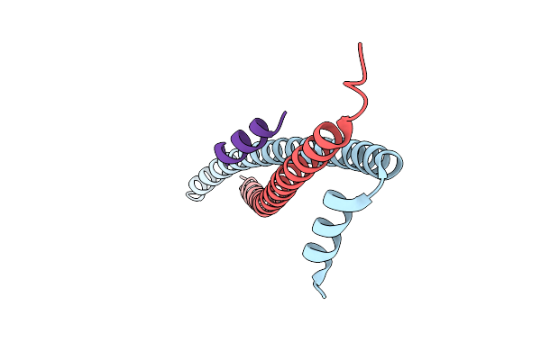 6PSE image