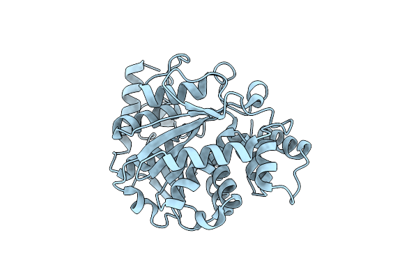 6PTF image