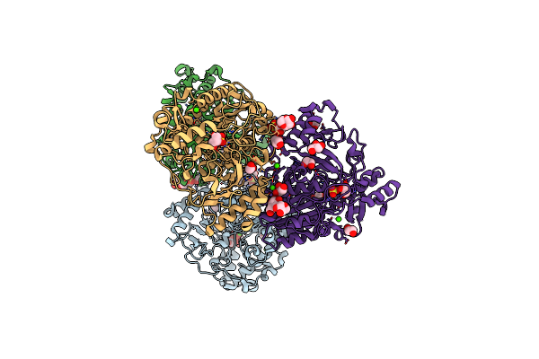 6PTK image