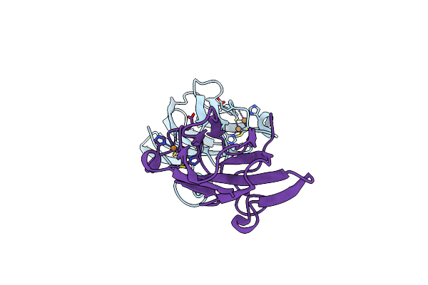 6PTT image