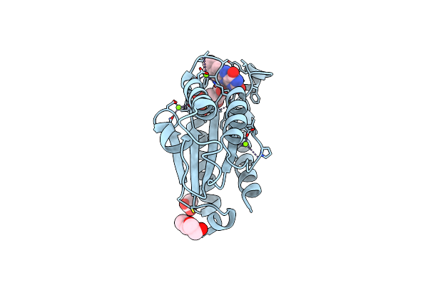 6PUQ image