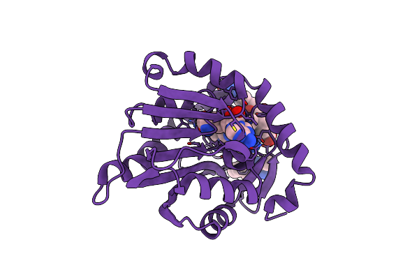 6PVB image