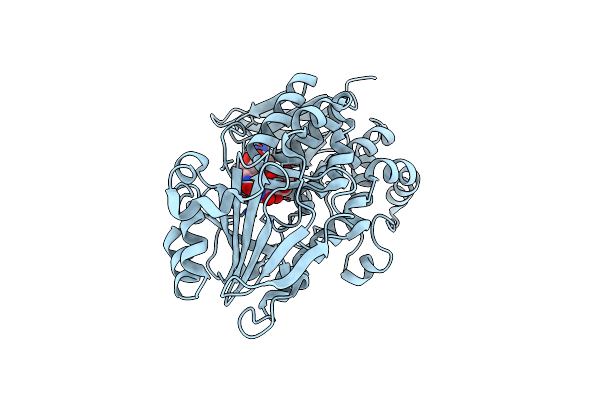 6PVG image