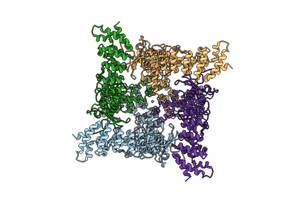 6PVL image
