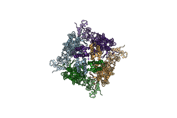 6PVM image