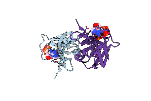 6PVV image