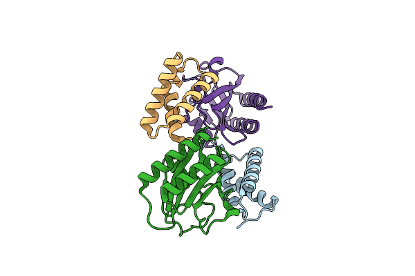 6PX4 image