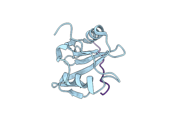 6PXC image