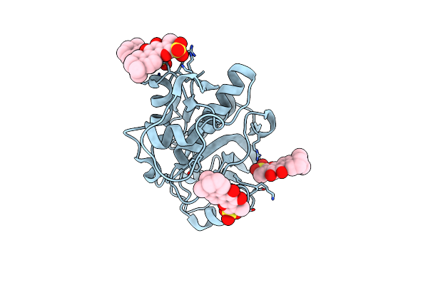 6PXF image
