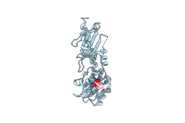 6PY4 image