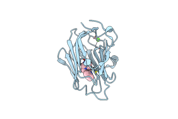 6PYA image