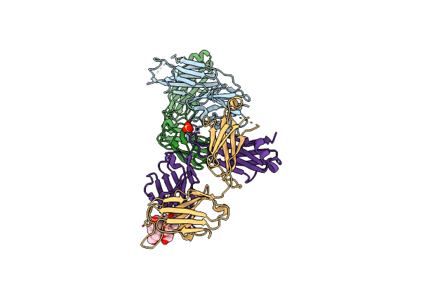6PYC image