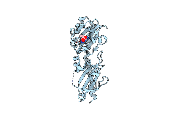 6PYI image