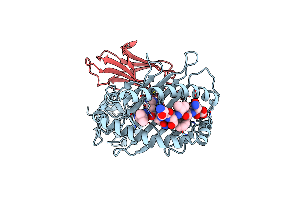 6PYJ image