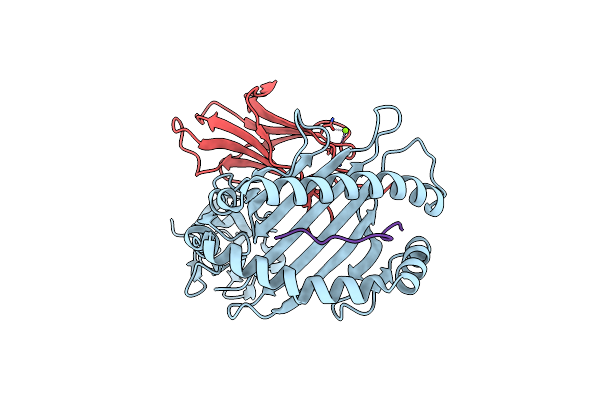 6PYL image