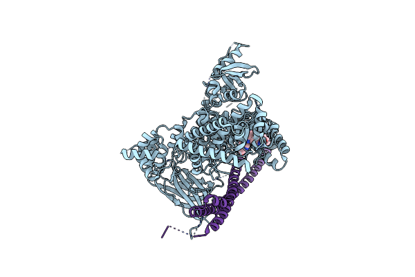 6PYR image
